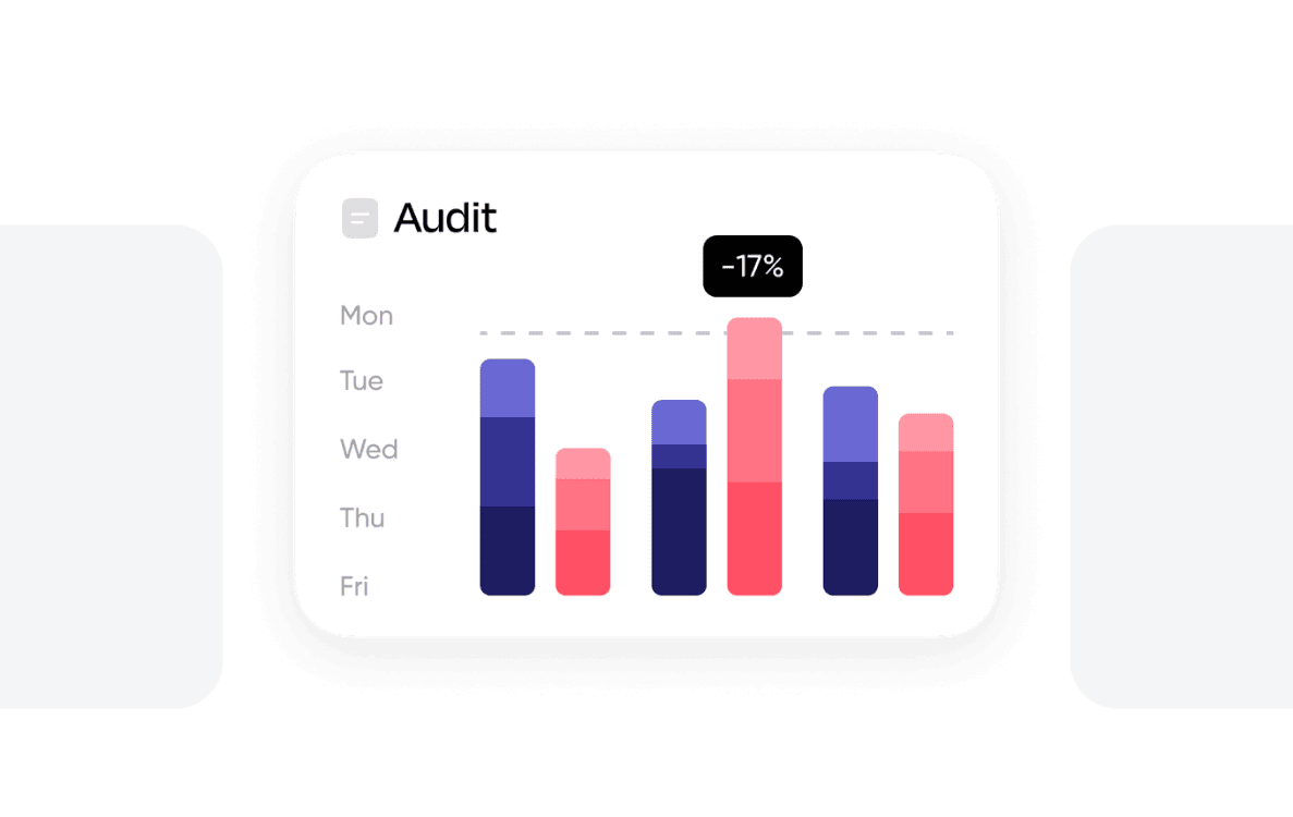Budget-Burning Audits