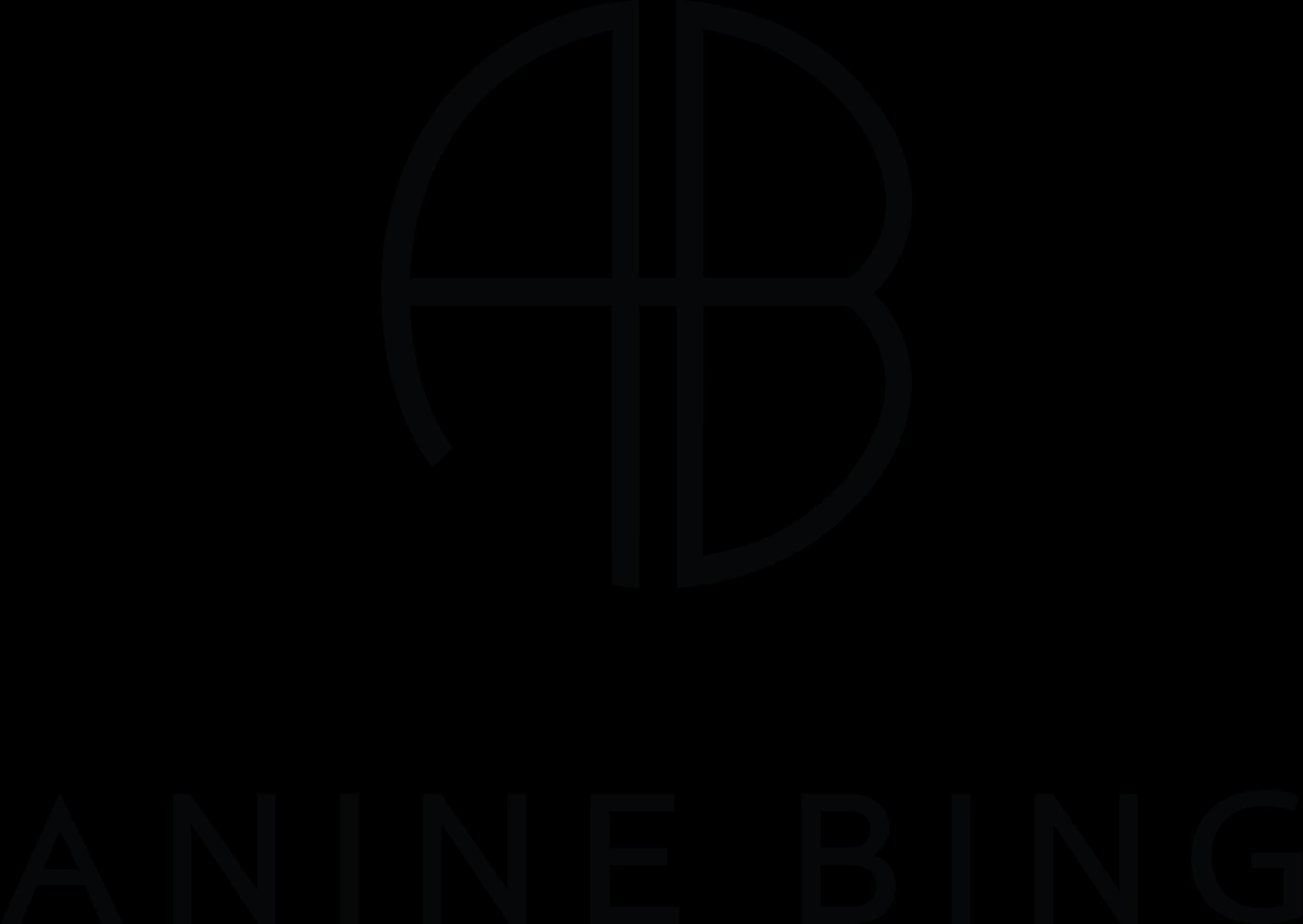Anine Bing